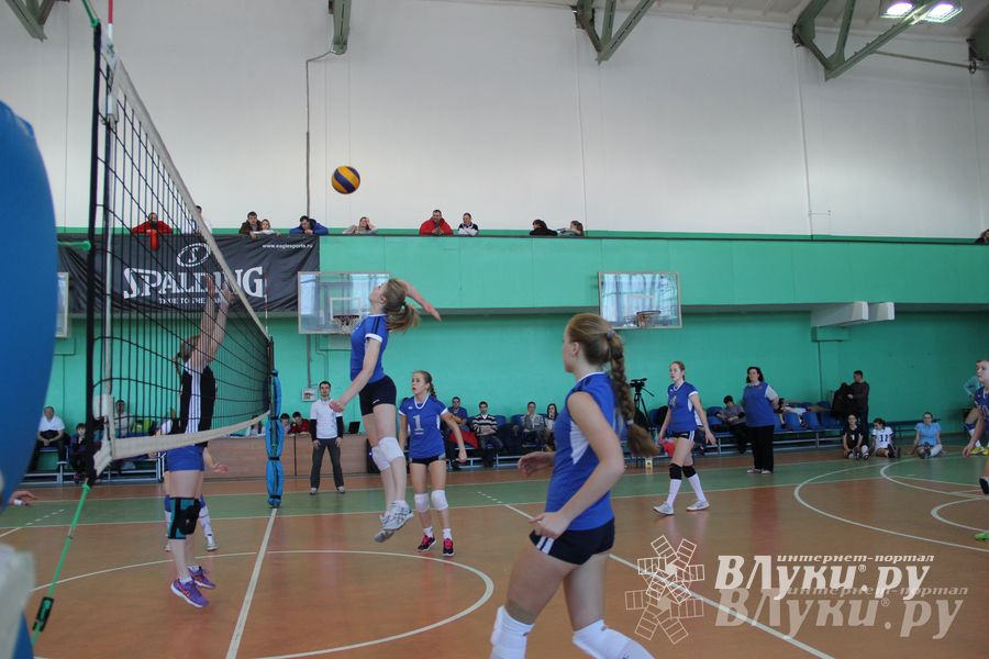 В Великих Луках прошли международные соревнования по волейболу (фото)