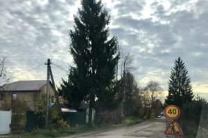 На улице Зенцовской потеряли асфальт (ФОТО)