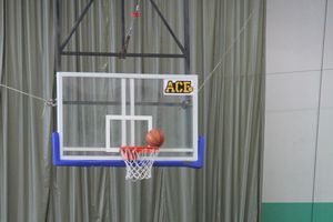 Великолукские баскетболистки поборются за третье место на финале Чемпионата ШБЛ «КЭС-БАСКЕТ» (фото)