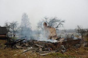 В деревне под Невелем сгорел дом (фото)