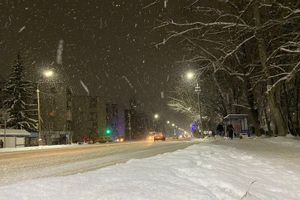 © ВЛуки.ру