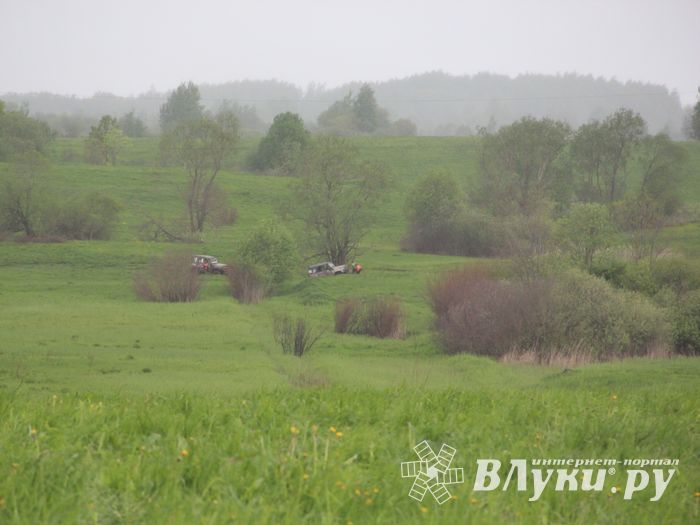 Кураж (ФОТО)