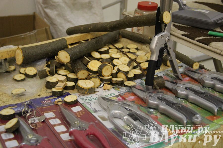 Универсальная выставка проходит в Великих Луках (фото)