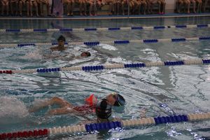 В Великолукском Айсберге прошли соревнования по плаванию на призы Деда Мороза (ФОТО)