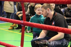 В Великих Луках прошел межрегиональный Открытый Кубок по смешанному боевому единоборству (фото)