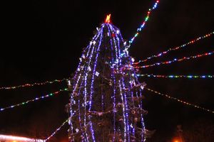 В Великих Луках петуха сменили на собак (ФОТО)