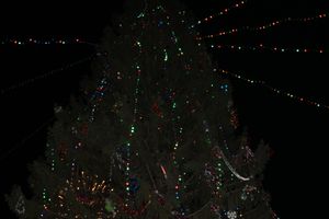 Праздник городской новогодней елки