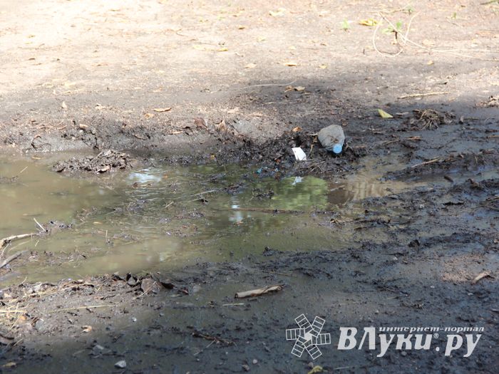 Великие Луки после дождичка в четверг (ФОТО)