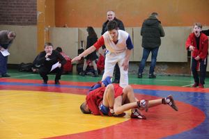 В Великих Луках прошли соревнования по самбо (ФОТО)