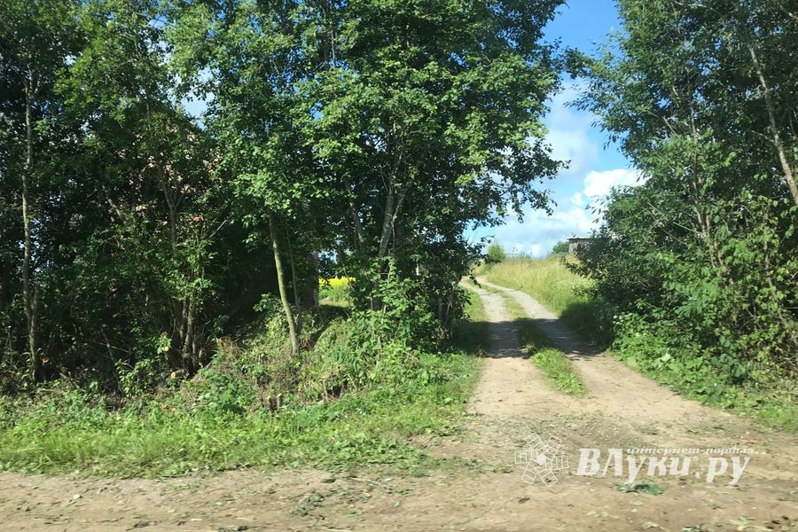 Дачников Великих лук порадовали районные дорожник (ФОТО)