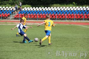 «Локобол-2013» в Великих Луках