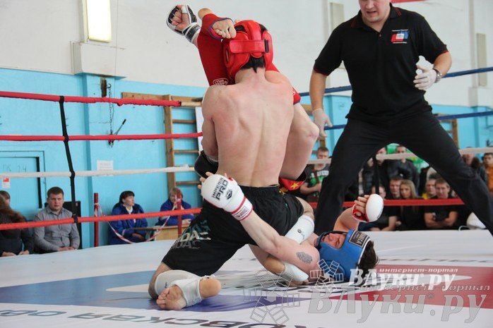 Чемпионат Псковской области по ММА