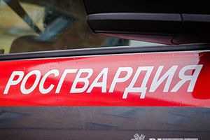 © ВЛуки.ру