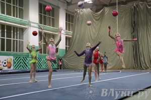 «Парад гимнастики» прошел в Великих Луках (фото)
