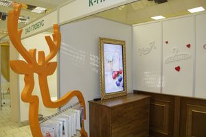 Шестая великолукская универсальная выставка открылась в Великих Луках (фото + видео)