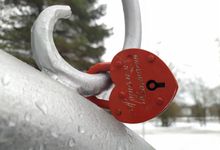 На «Яблоне любви» появились листочки-замочки (ФОТО)