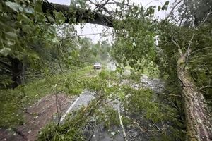 Весь ужас вчерашнего урагана в Великих Луках и районе (ФОТО, ВИДЕО)