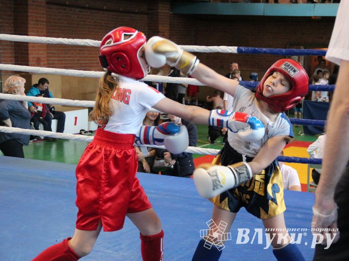 В Великих Луках прошли соревнования по кикбоксингу (ФОТО)