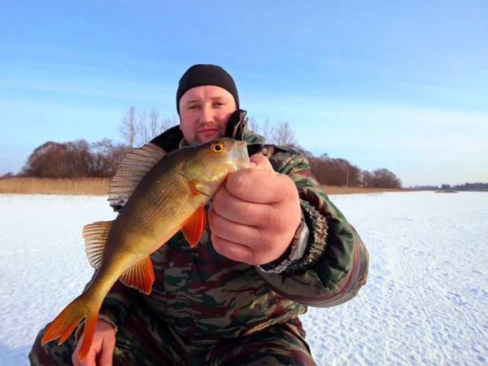 Великолукские рыбаки победили в фестивале по ловле рыбы на блесну (фото)