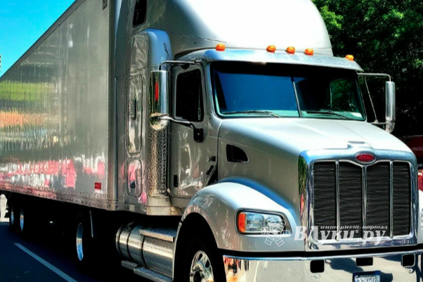 Фото создано нейросетью Шедеврум