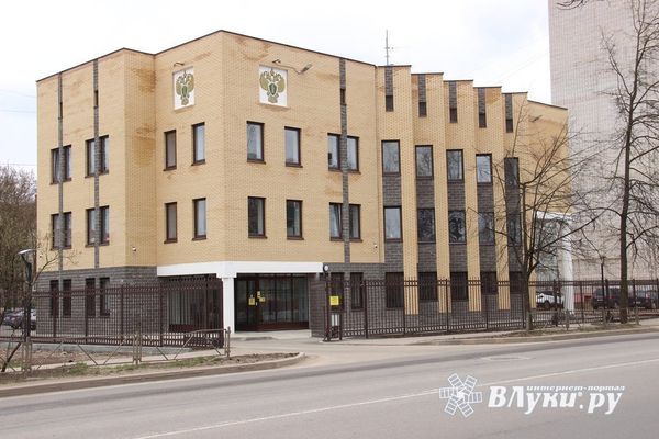 Великолучанин предстал перед судом за продажу охотничьего ружья