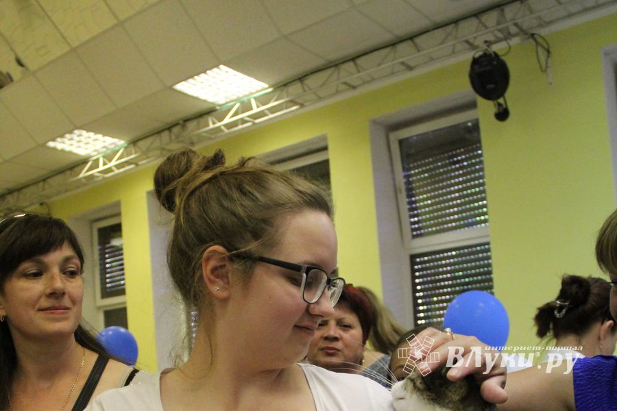 В Великих Луках прошла выставка кошек (фото)