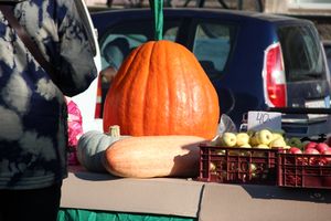 В Великих Луках прошла универсальная осенняя ярмарка (ФОТО)