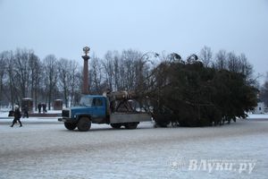 В Великих Луках установили новогоднюю елку (фото)