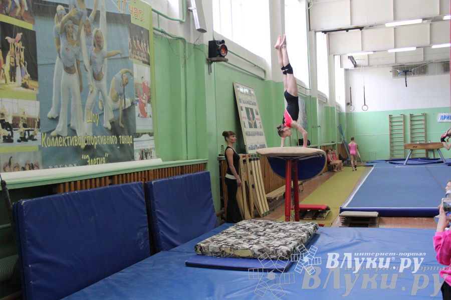 Открытый Кубок Псковской области по спортивной гимнастике