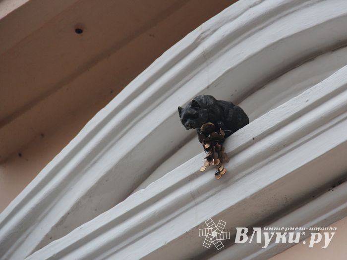 В Великих Луках появился чёрный кот (ФОТО)