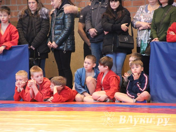 Открытый турнир по самбо «Новогодняя звезда-2019» прошел в Великих Луках (ФОТО)