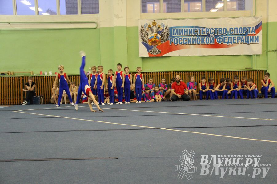В Великих Луках состоялось Первенство по командной гимнастике (фото)