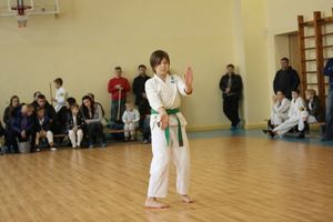 В Великих Луках прошло Первенство города по ВБЕ «КОБУДО» (ФОТО)