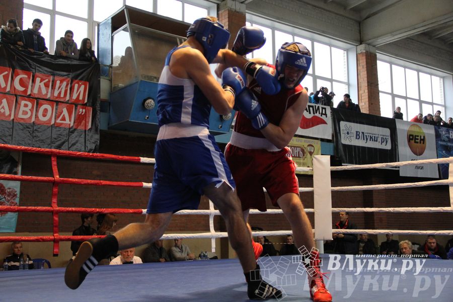 16-й Международный турнир по боксу (фото)