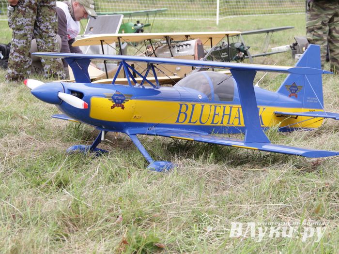 Чемпионат России по авиамодельному спорту в Великих Луках (ФОТО)