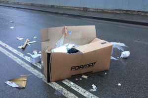 Неопознанный валяющийся объект «украсил» дорогу в Великих Луках.