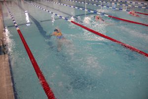 В Великих Луках прошло Первенство города по плаванию (ФОТО)