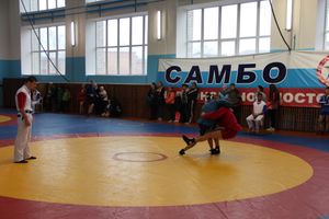 В Великих Луках прошел Чемпионат и Первенство области по самбо (фоторепортаж)