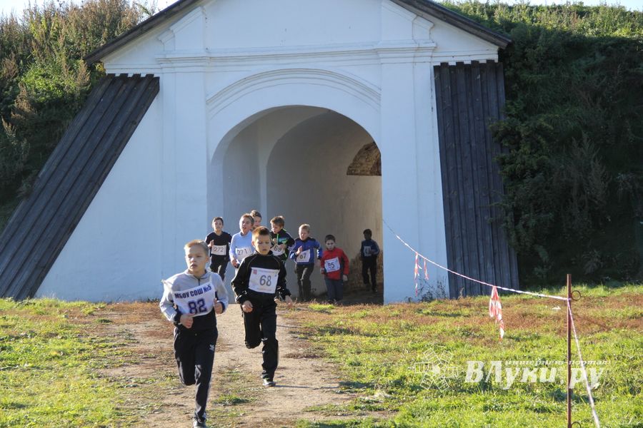 Легкоатлетический осенний кросс прошел в Великих Луках (фоторепортаж)