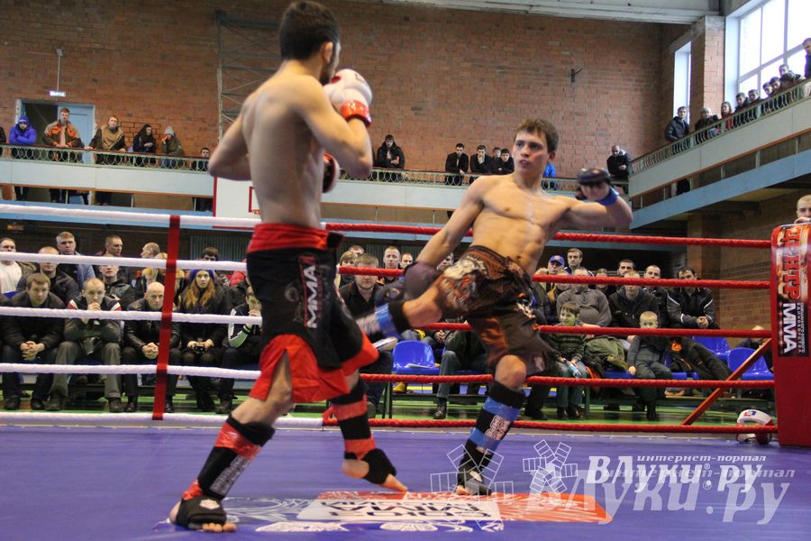 В Великих Луках прошел межрегиональный Открытый Кубок по смешанному боевому единоборству (фото)