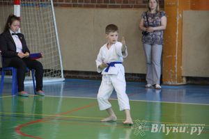 Великолучане стали победителями турнира по каратэ «Неприкосновенный запас, дети — Отчизны 2015» (фото)