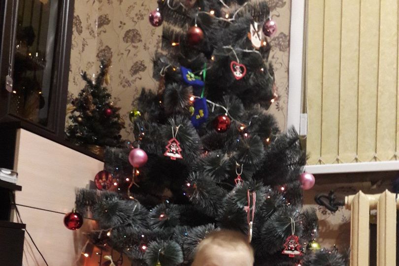 Объявляем победителей фотоконкурса «Косточка к Новому году» (ФОТО)