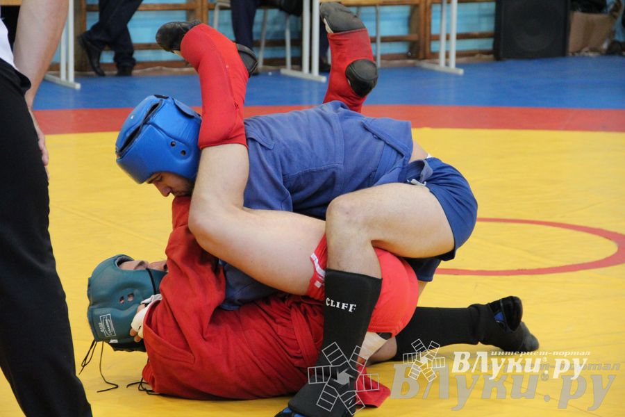 Первенство Псковской области по самбо