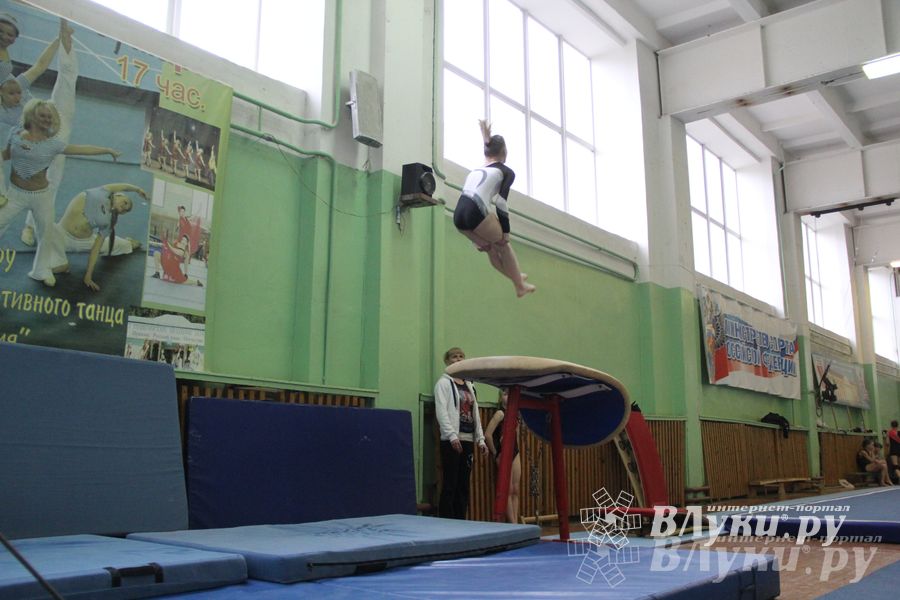 В Великих Луках прошел турнир по спортивной гимнастике (фото)
