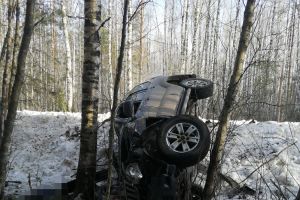 В Великолукском районе произошло смертельное ДТП (ФОТО)