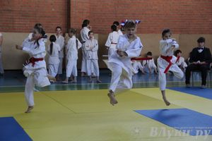 Турнир по каратэ