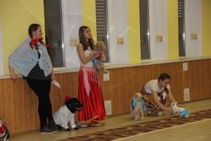 Всероссийская выставка собак в Великих Луках (фото)