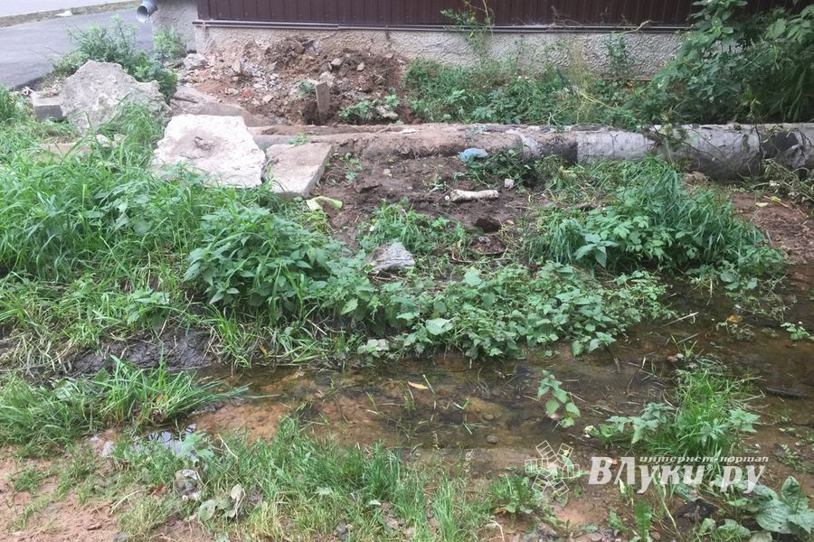 В Великих Луках забил «гейзер», по словам коммунальщиков, «рядовая ситуация» (ФОТО+ЗВУК)