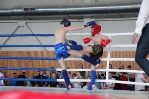 В Великих Луках прошел Кубок области по кикбоксингу (ФОТО)