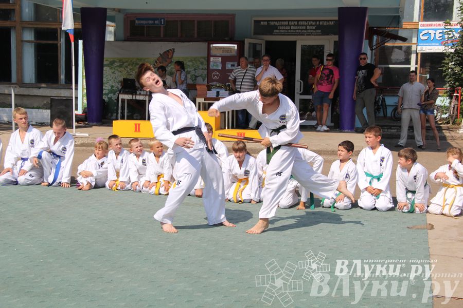 В Великих Луках отметили День физкультурника